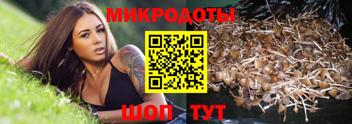 Смоленск  Галлюциногенные грибы Psilocybine cubensis  что такое   Вход с VPN  Псилоцибиновые грибы GOLDEN TEACHER 